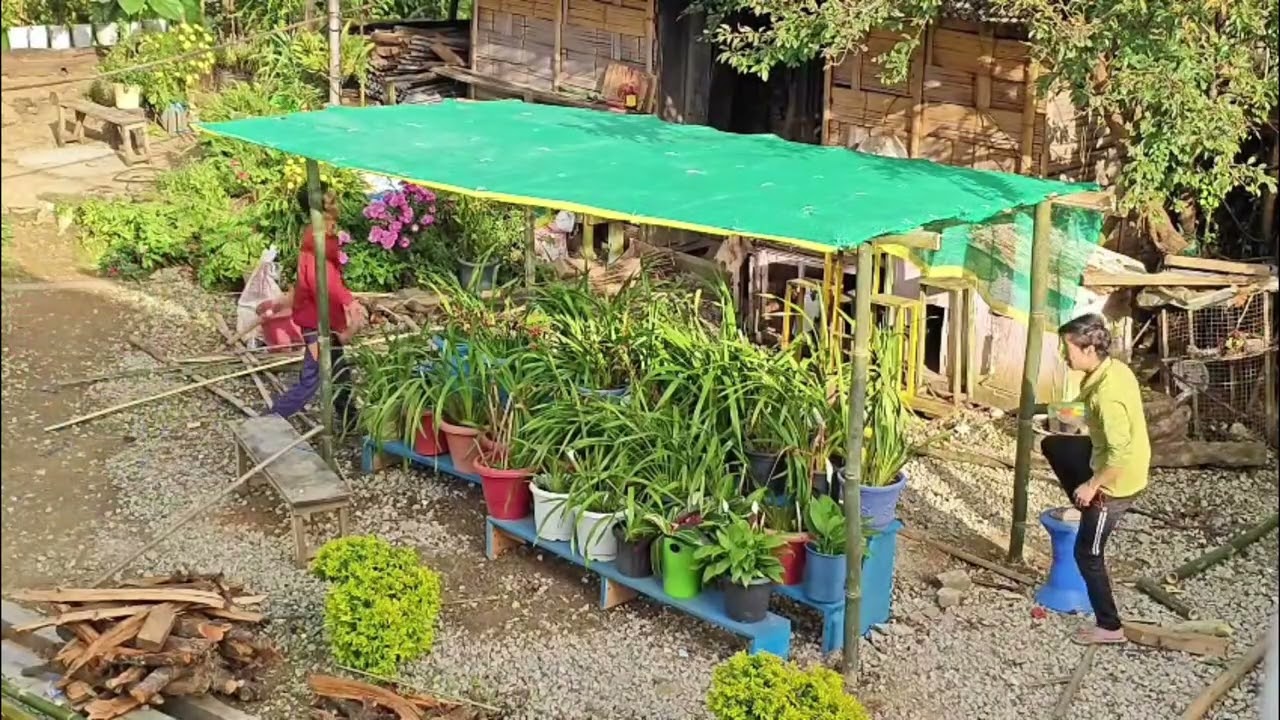 Green house for orchids 