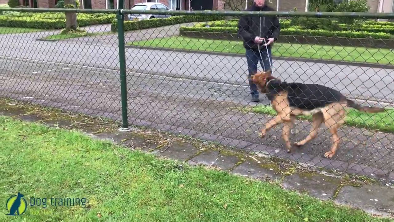 Lily tracking at the end she finds a child