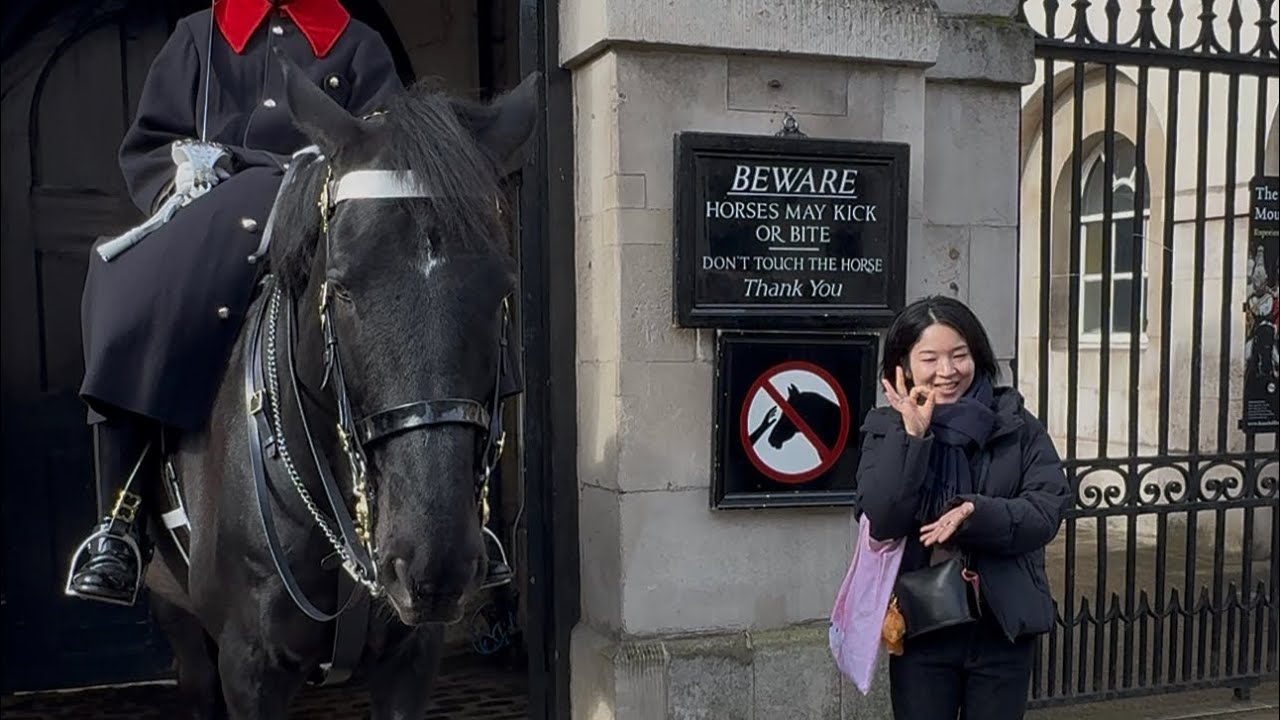 **Regal Moments at Horse Guards 🐴✨ #London #HorseGuards #royalexperience 