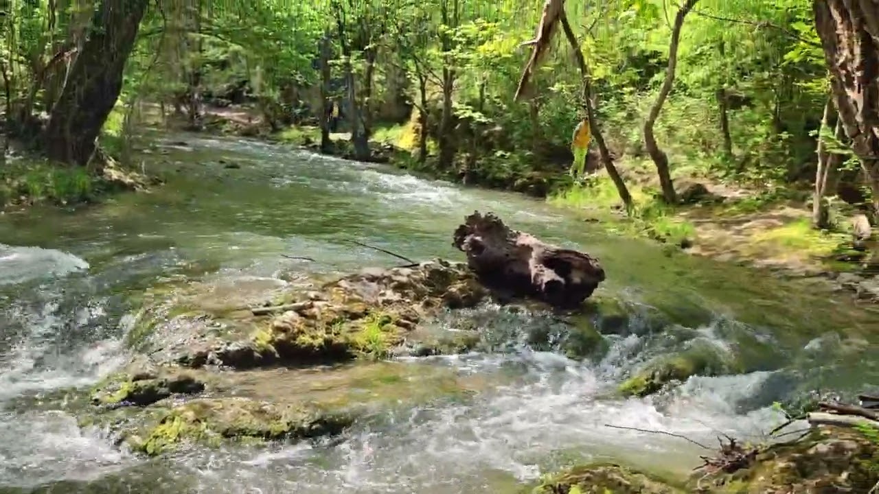 Lepterija