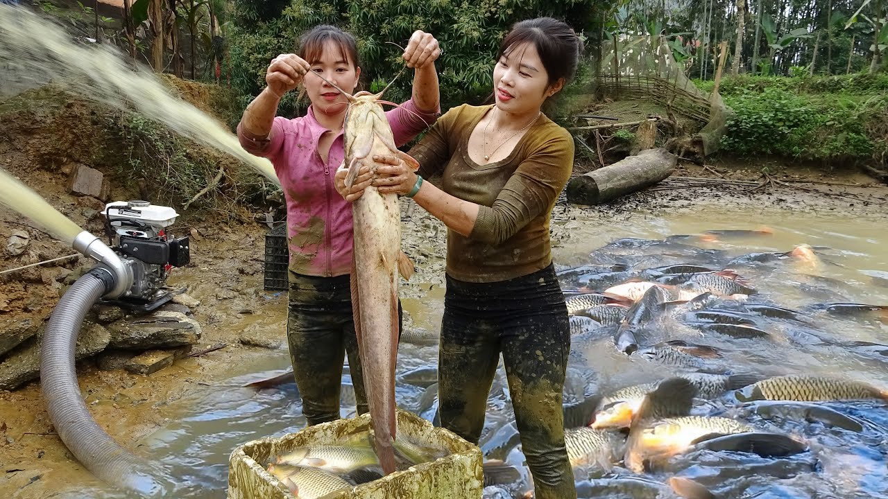 Fishing Techniques: How to Use A Large Capacity Pump Harvest Fish, Catch Many Fish to Sell