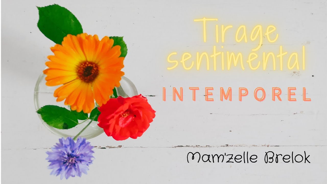 AVENIR SENTIMENTAL 🧡💜❤  3 Choix 🔮 Tirage Intemporel 🔮