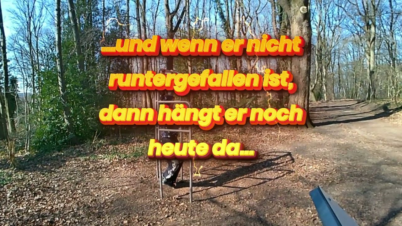 Freudenberg in Wuppertal (Calisthenicpark) #sports #calisthenics #funny