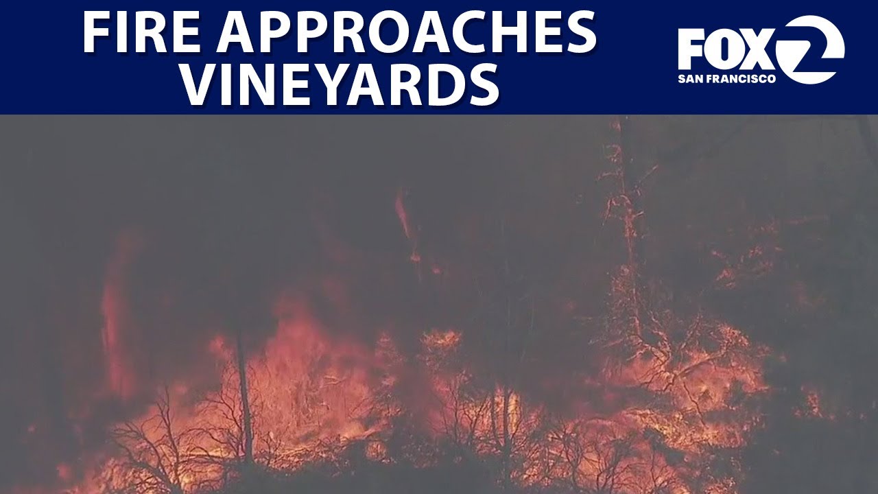 Pickett Fire encroaches on Napa County vineyards | KTVU