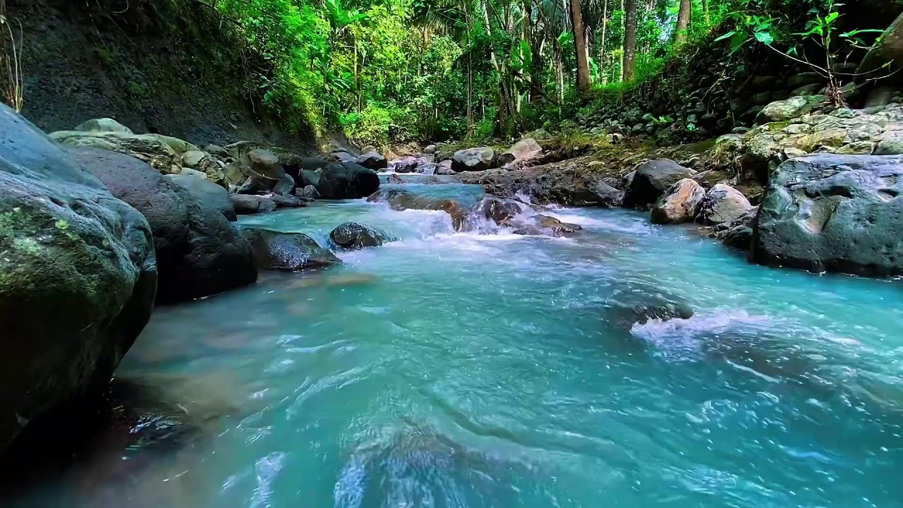 Forest River Night Flow, Mountain Stream Sounds, Sleep