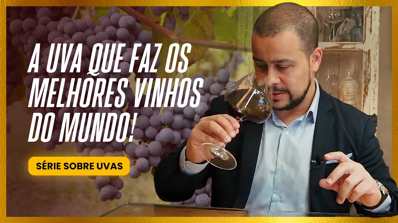 Tudo sobre a Nebbiolo, a incrível uva do barolo e barbaresco #vinhosdaitalia #melhoresvinhos