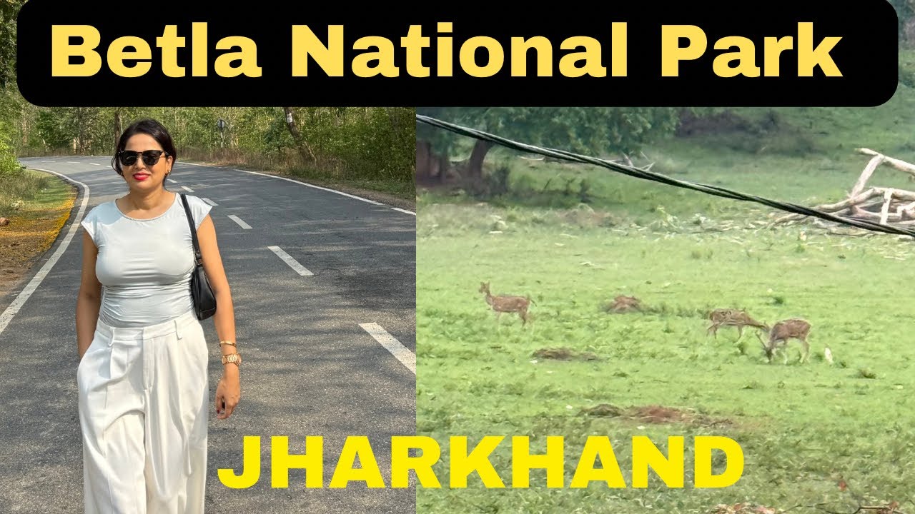 Betla National Park🐅🐆🐘 || Jangle Safari || Jharkhand #betlanationalpark #junglesafari #jharkhand