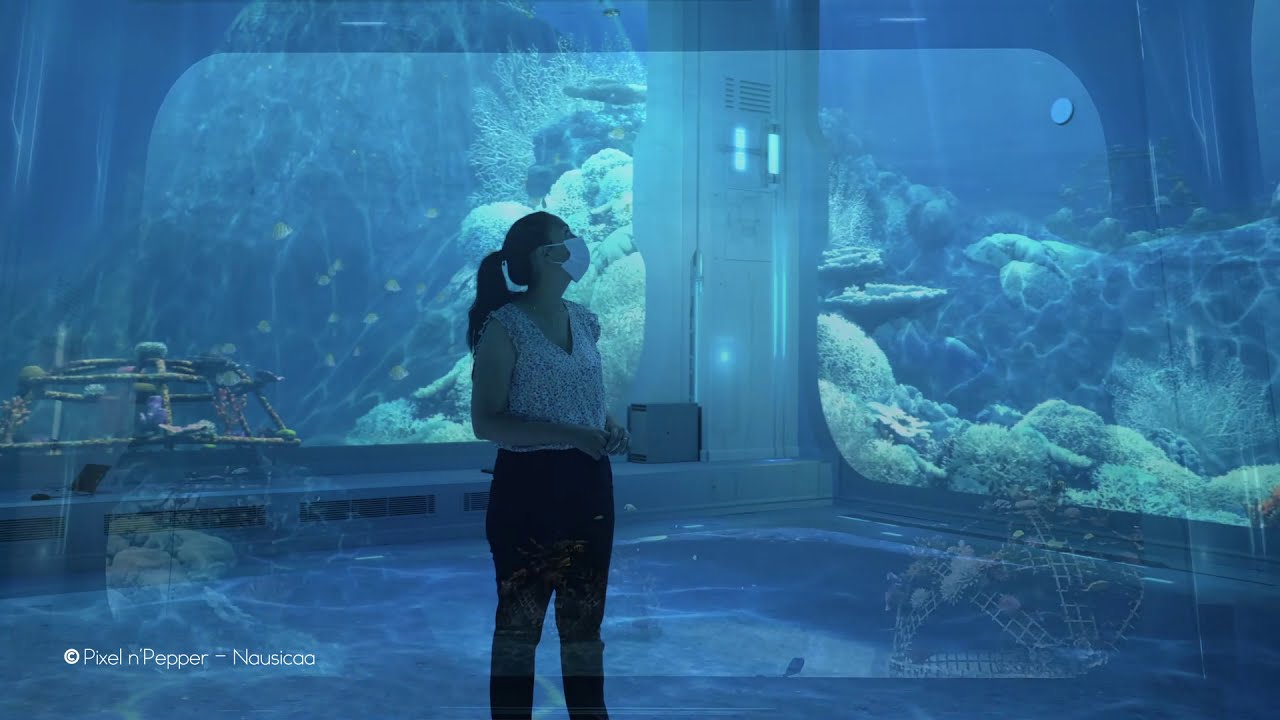 NAUSICAA - Immersive room about global warming