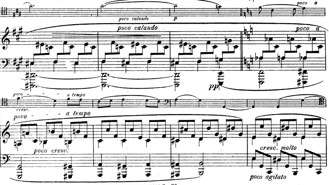 Zygmunt Stojowski - Cello Sonata Op.18