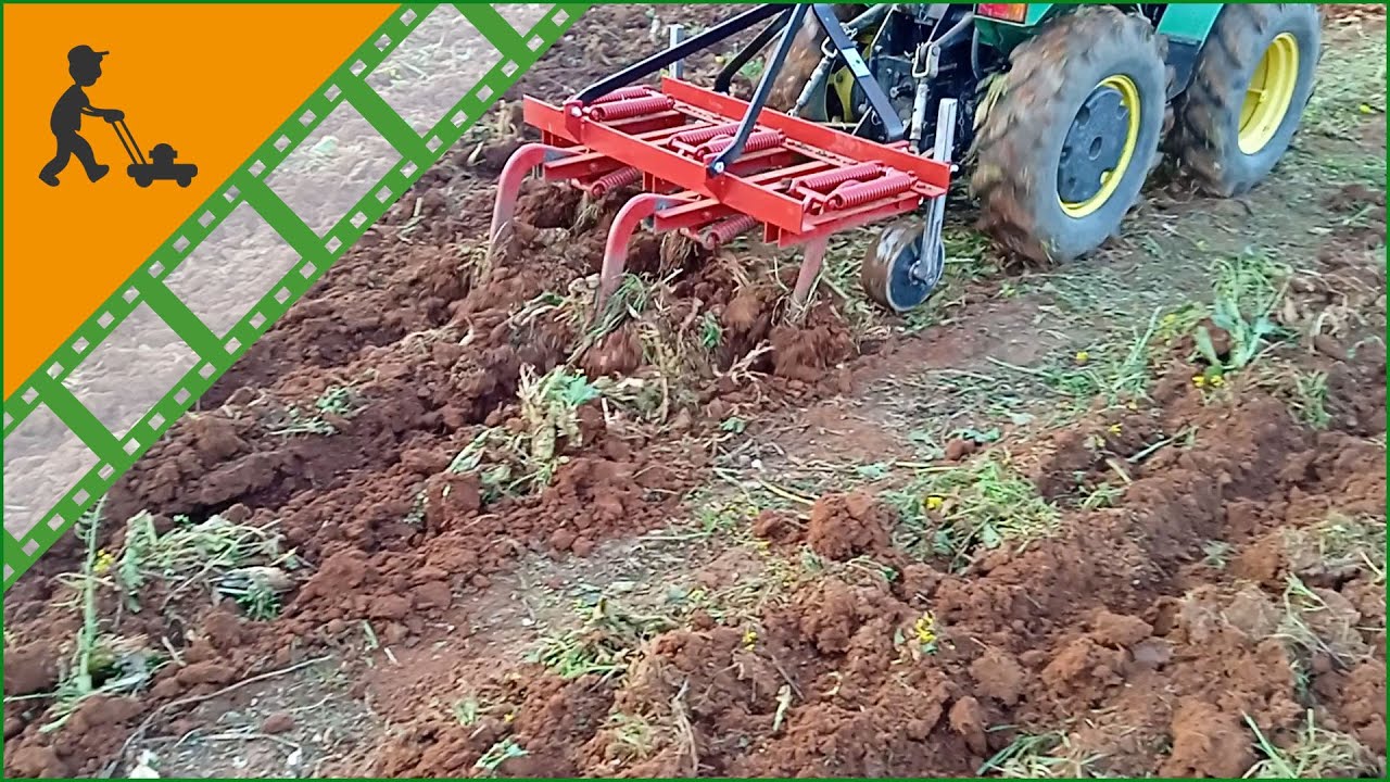 Tiller a molle 5 ancore serie media AgriEuro CM5 – Erpice coltivatore Estirpatore 5 Vomeri