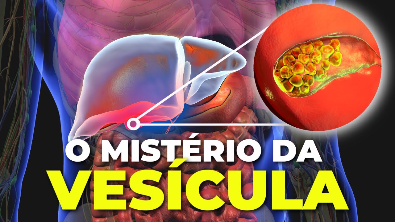 VESÍCULA: O órgão inútil que cientistas COMEÇARAM a entender!