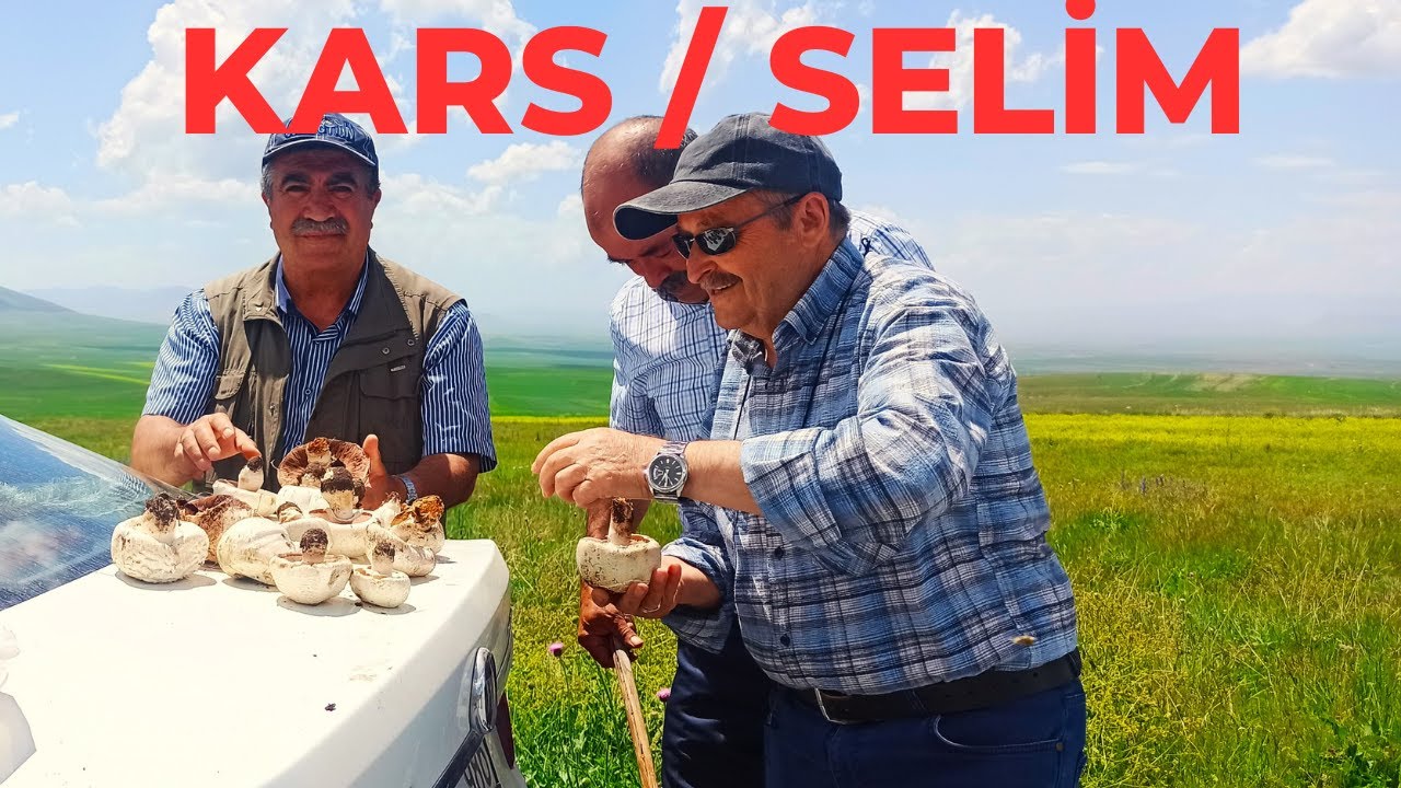 2024 ..KARS/Selim KÖY köy Gezi resimleriz.