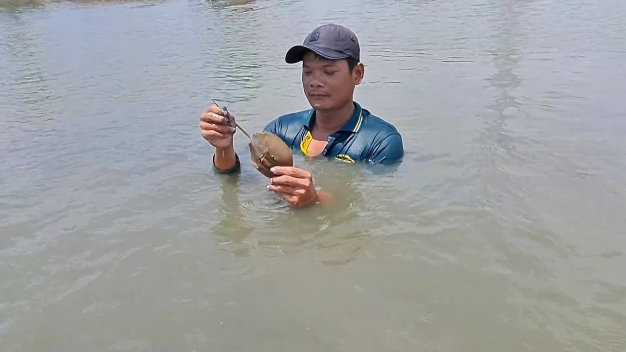 Hành trình đi bắt cua ở Vũng Tàu 