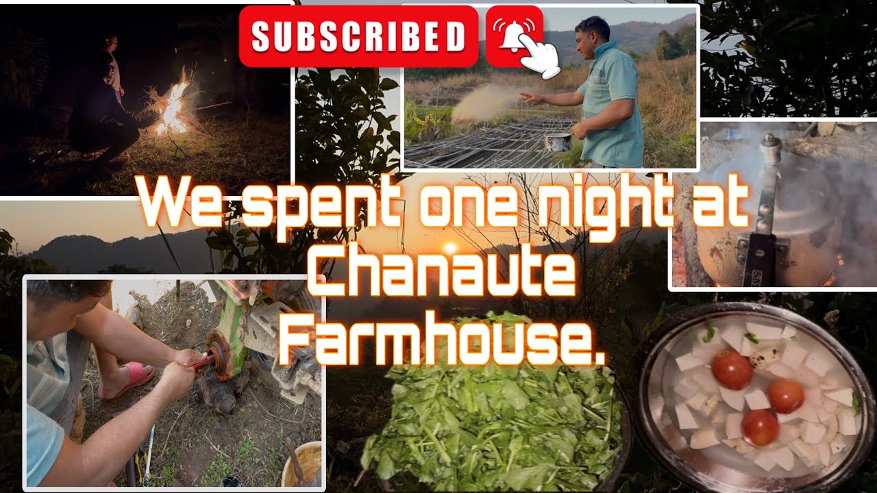 Day-2 in chanaute farmhouse dherai ramailo vayo 😱🥰 #nepal #fyp #travel #trending #new 