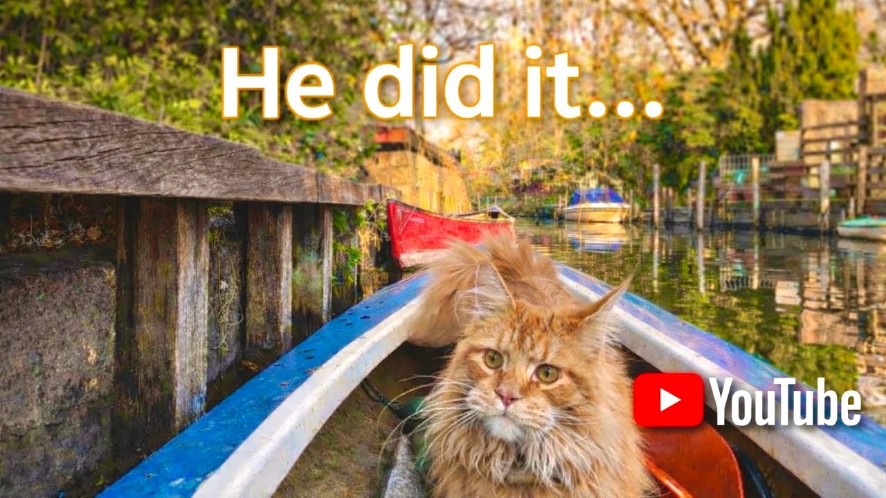 Kayak Cat Adventures: 🦫 and Leon did it&hellip; almost