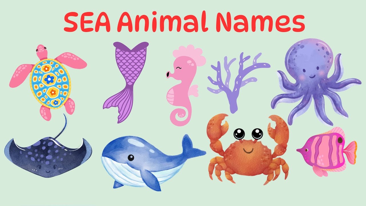 5 Sea Animals Name in English | Learning Aquatic Animals Names and Videos