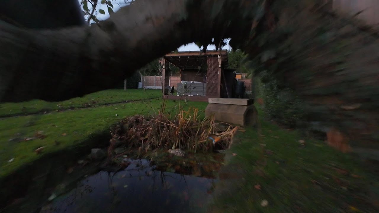 Trying to get used to the Avata 2 in the back yard! The crashes at the end! #dji 