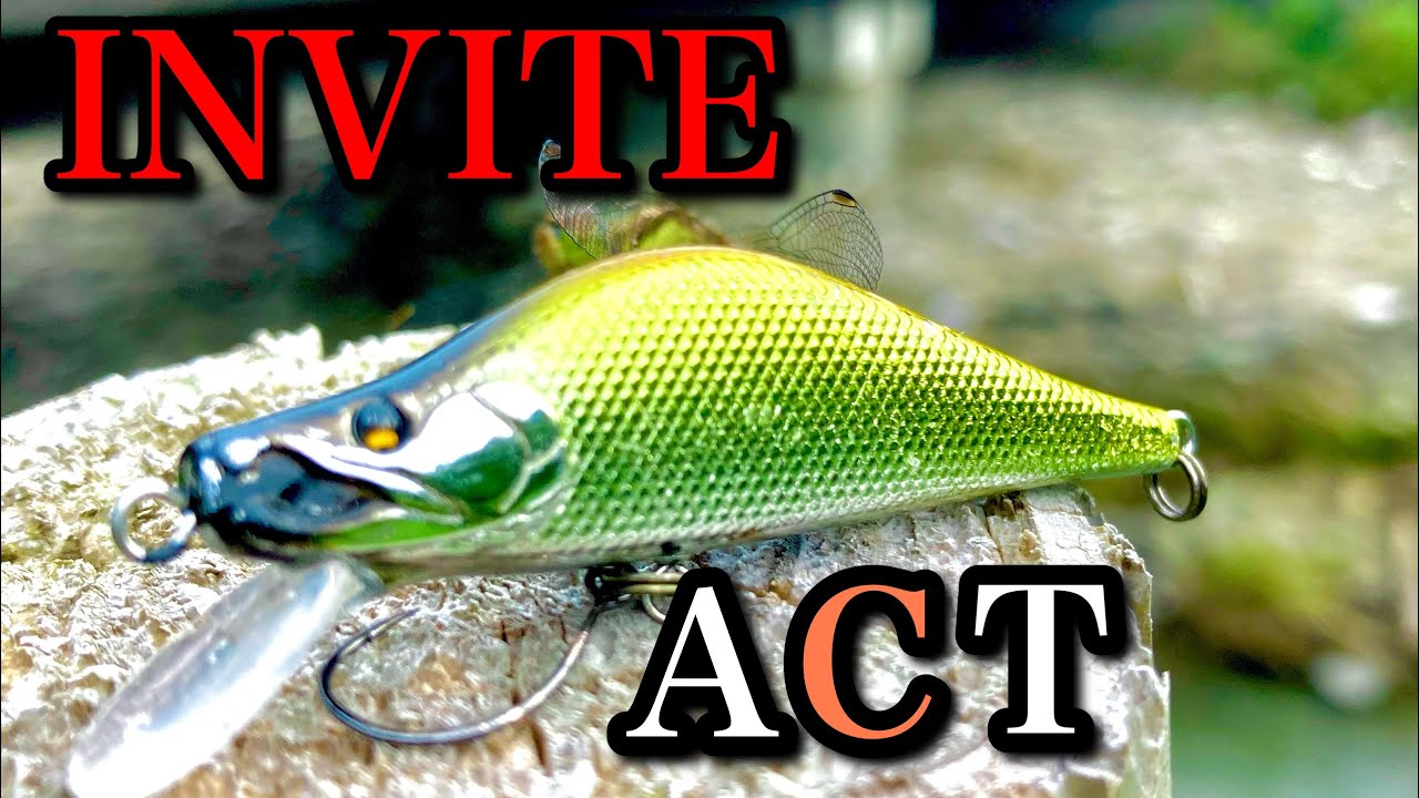 【大物狙いに】INVITE/ACT縛りでベイトフィネス！大物出た！【インプレ】
