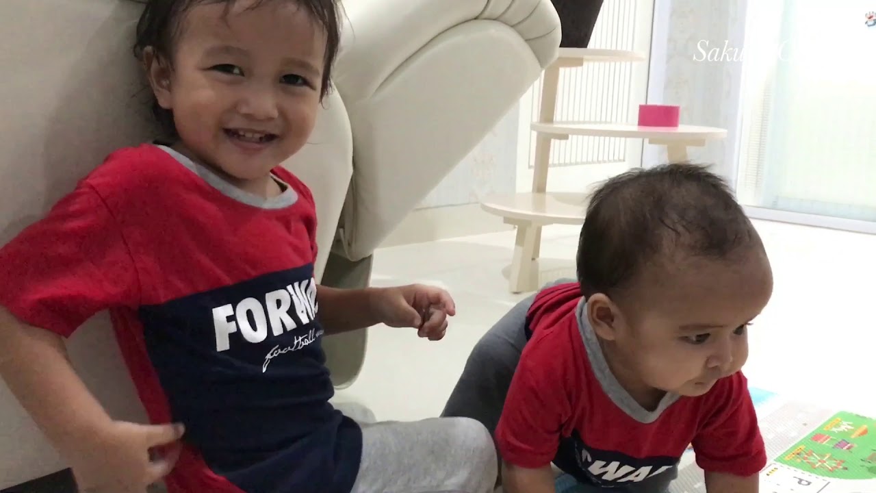 Jika Batita suapin Bayi Lucu Gemuk | Little Kenzo sayang Adik Bayi Sakura Chan