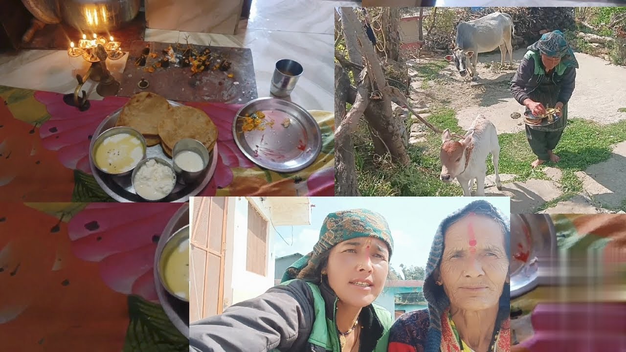 #आज हमारे गाय के बच्चे का था नामकरण#ganga rathour chaukori Pithoragarh #