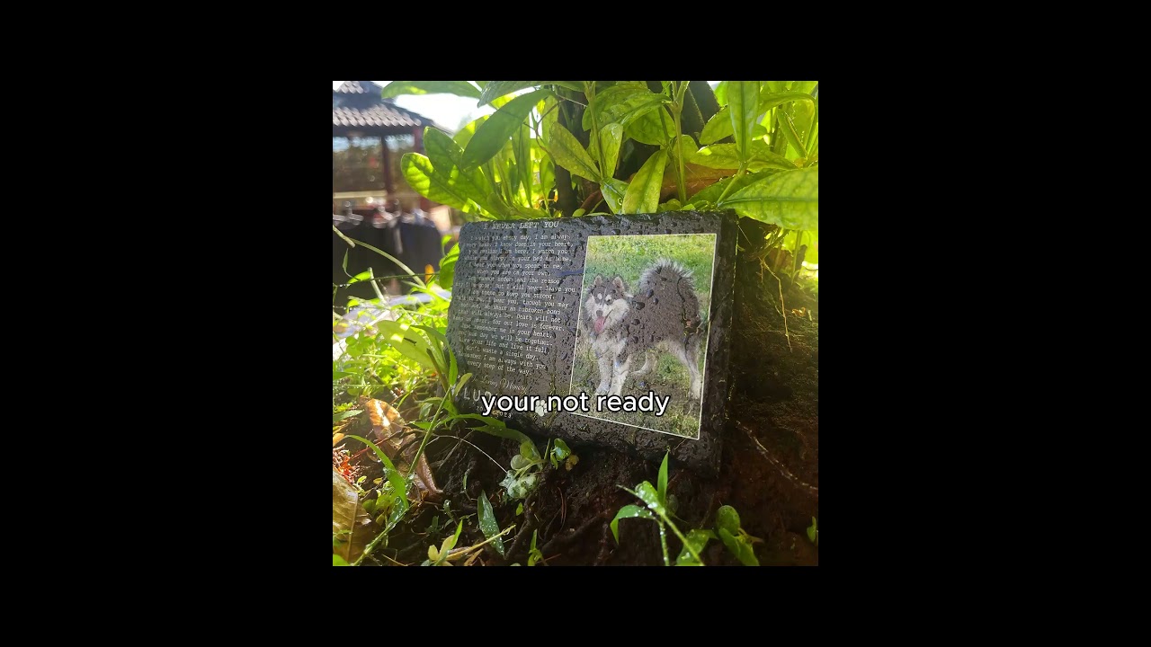 I never left you- Dog Memorial Stone.  #petloss #rainbowbridge #dogloss  #dog