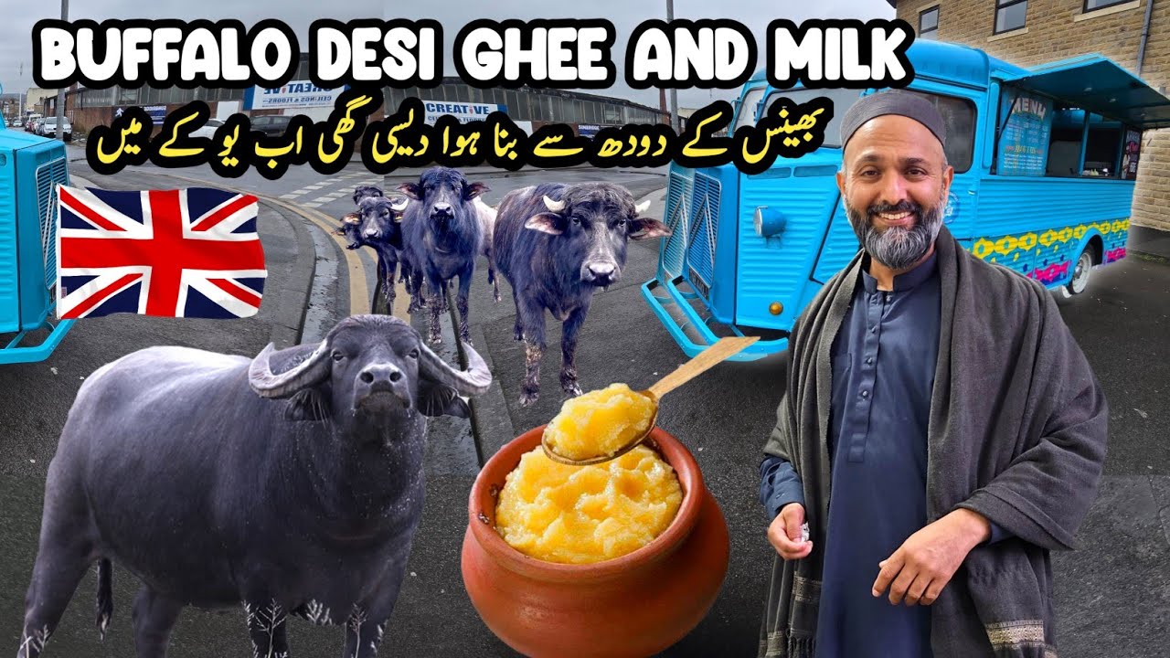 Shopping For Buffalo Desi Ghee And Milk In Uk 🇬🇧 | Trying Best Street Food