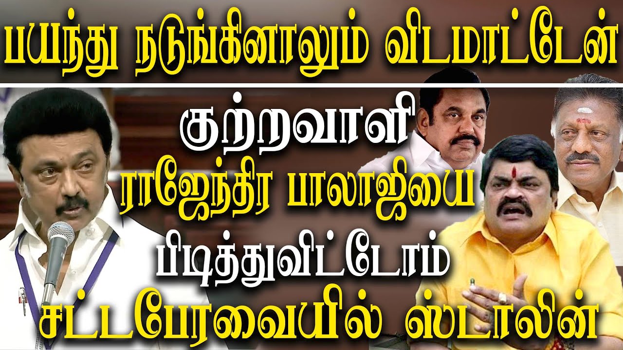 2022 tamil nadu assembly live - CM M K Stalin speech about Rajendra Balaji arrest