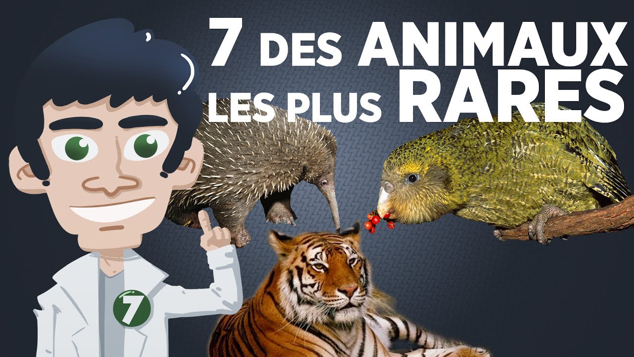 7 des animaux les plus rares