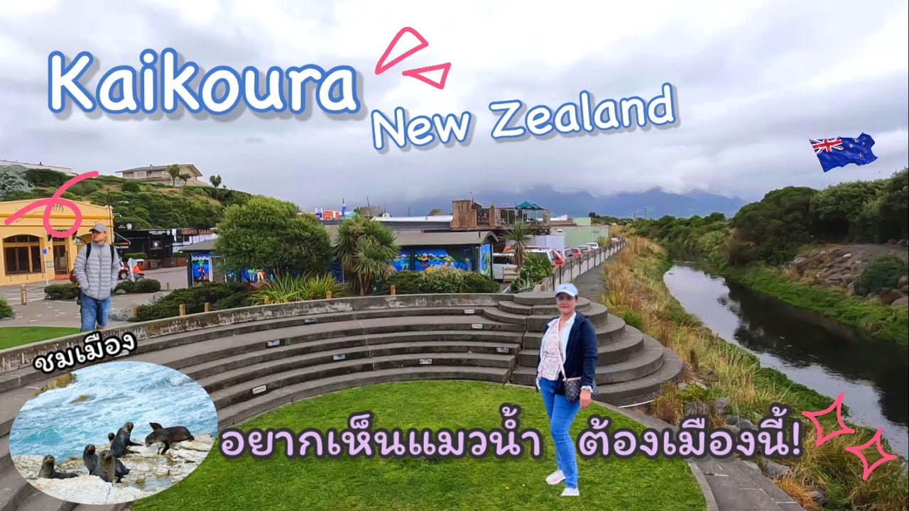 Vlog ชมเมือง ไคคูร่าKaikoura เกาะใต้ นิวซีแลนด์ ดูแมวน้ำ นั่งเรือเที่ยว ดูปลาโลมา ปลาวาฬ ชมธรรมชาติ