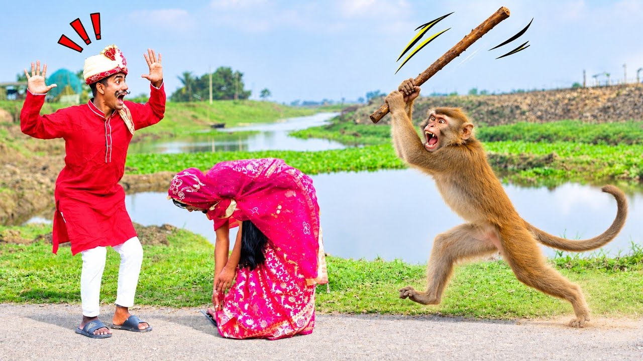 Very Special Trending Comedy Video 2026 😂 Amazing Funny Video Episode @154