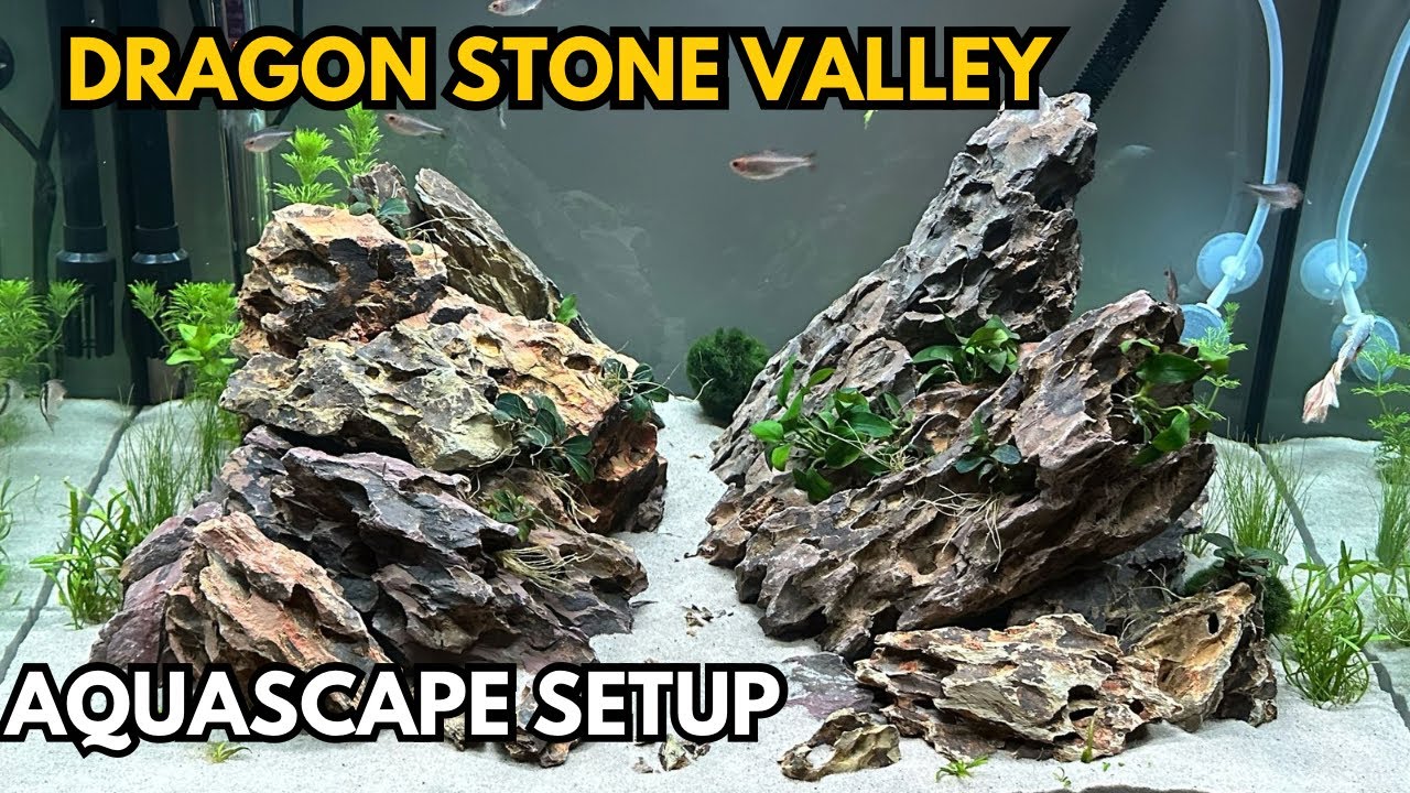 The Dragon Stone Valley Aquascape Build-  EASY FISH TANK SETUP
