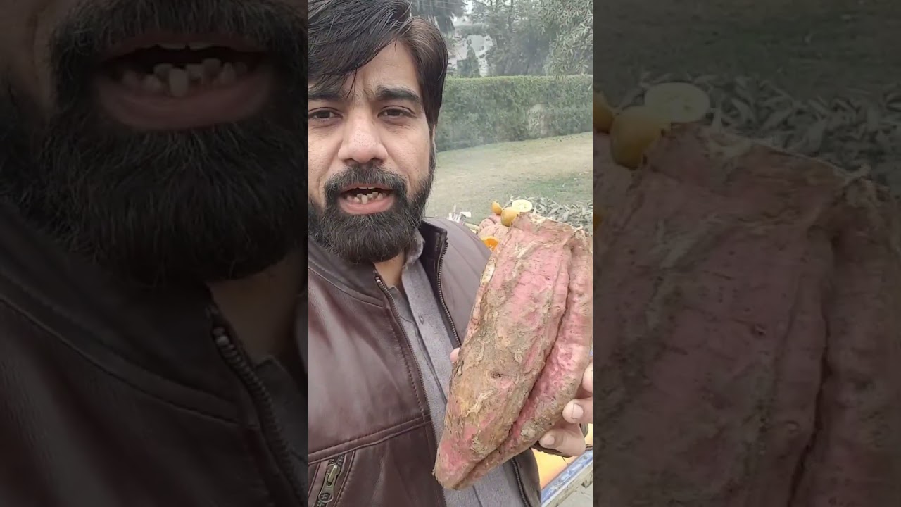 Wild Yam / Shakar Qandi a miracle herb 