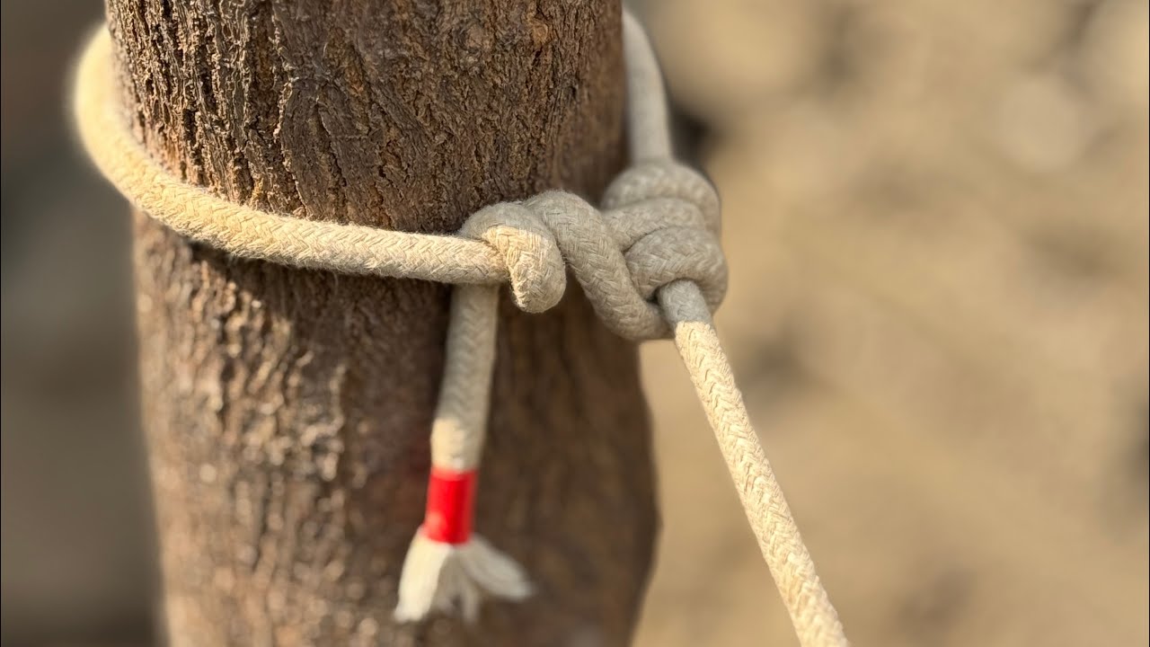 7 Simple And Practical Basic Knot In Your Life ! 