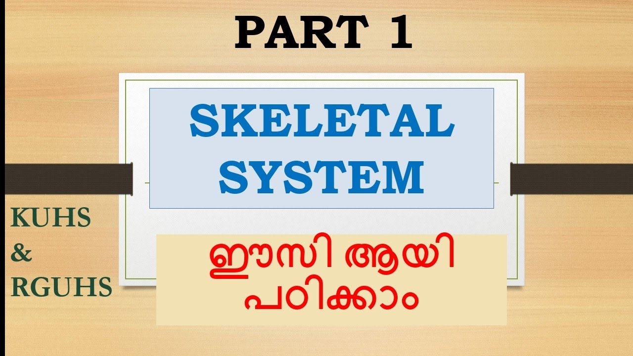 Skeletal system explained in malayalam with diagram/@NursesMotive/#KUHS/#RGUHS
