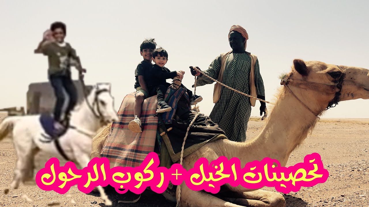 ركبنا عدي الرحول🐪_تحصينات للخيل💉🐎