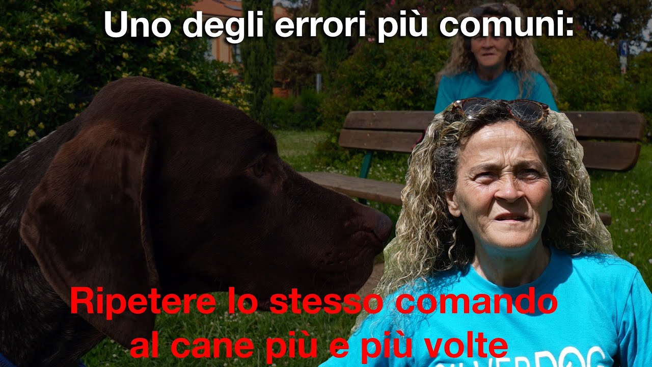 Uno degli errori più comuni: ripetere lo stesso comando al cane più e più volte