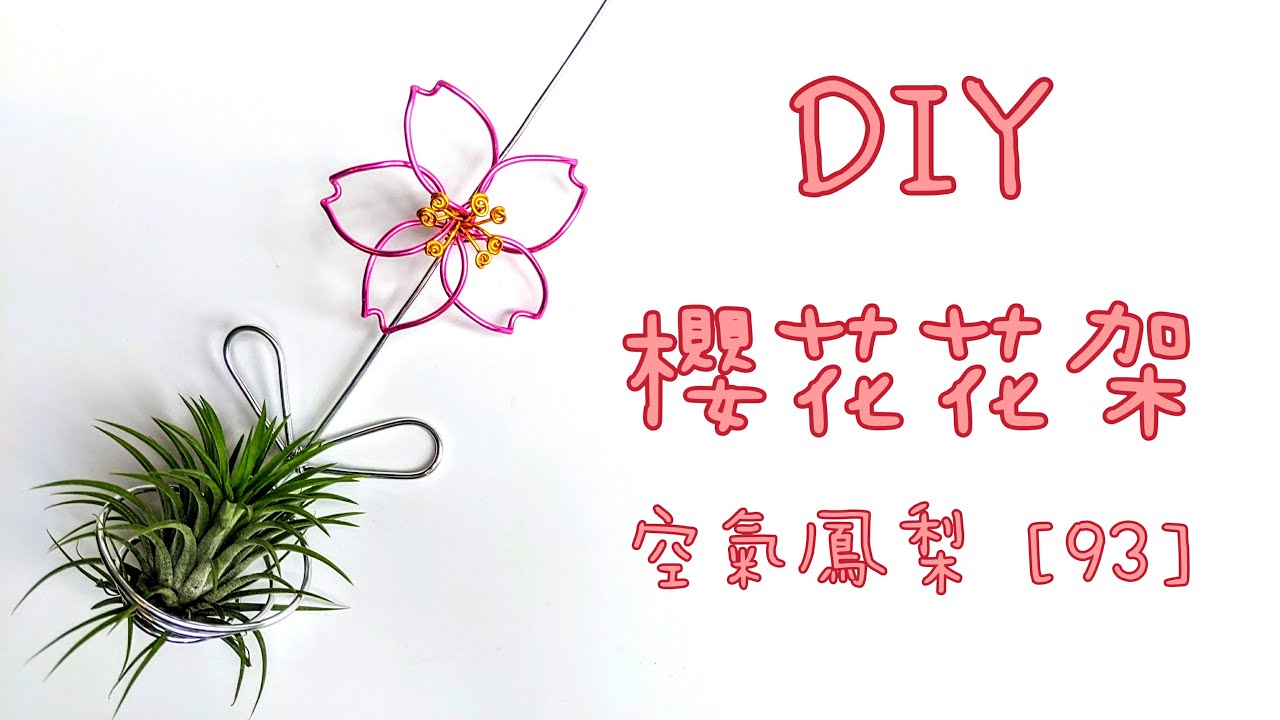 DIY wire 教你如何使用彩色鋁線製作空氣鳳梨  櫻花花架 空鳳架 How to make Aluminum wire Air plant  flower stand sakura