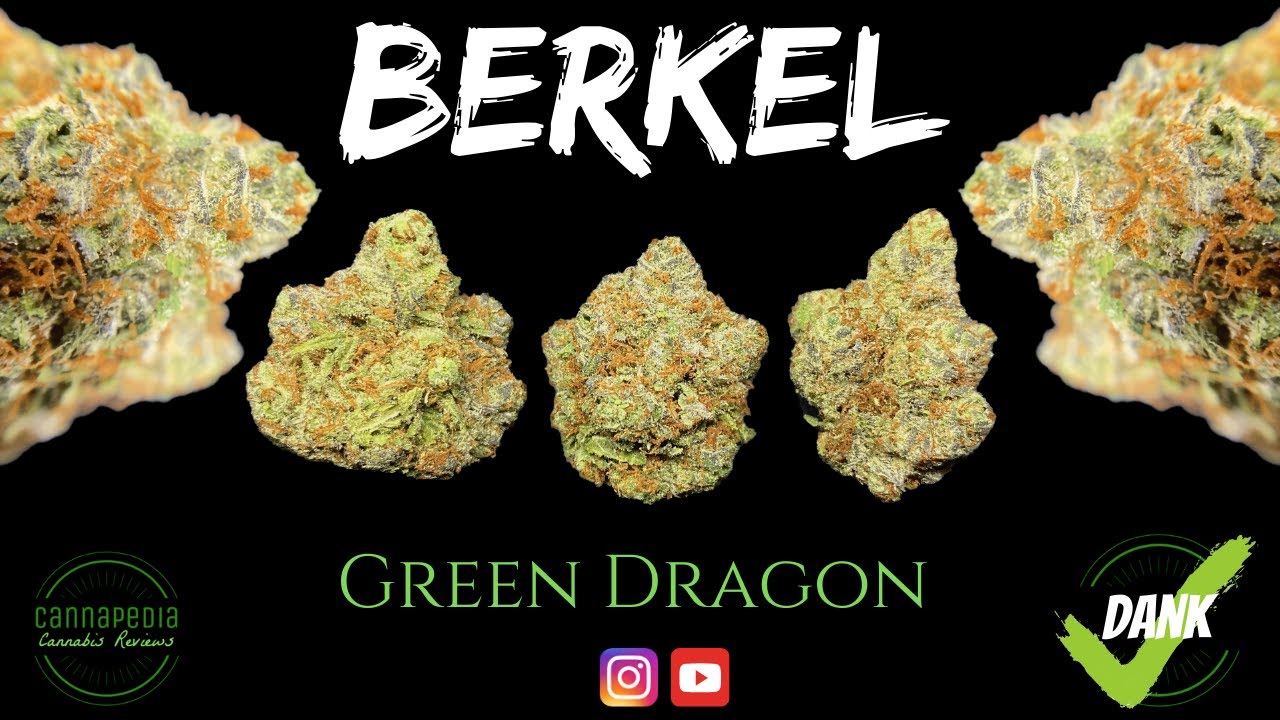 Berkel Strain Review - Green Dragon - Cannapedia