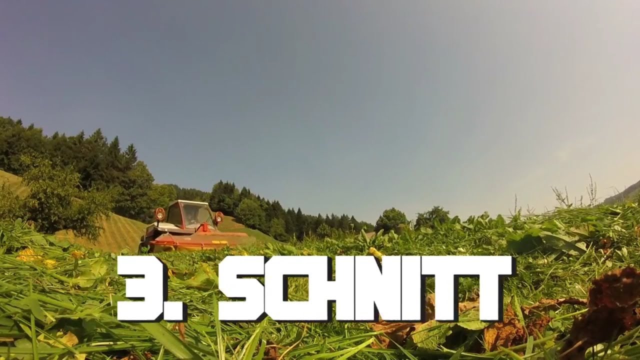 3. SCHNITT M&Auml;HEN 2018