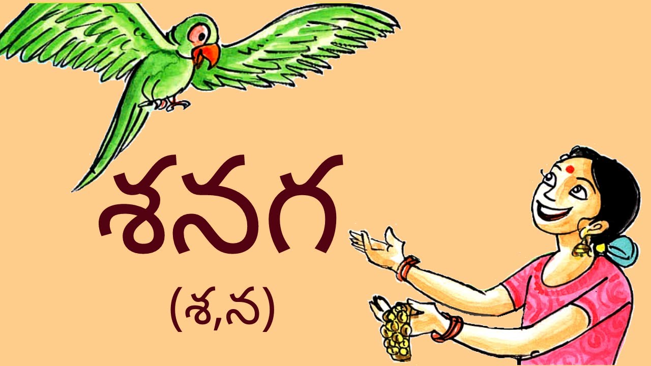 శనగ || Senaga || 1st Class Telugu (Telangana)