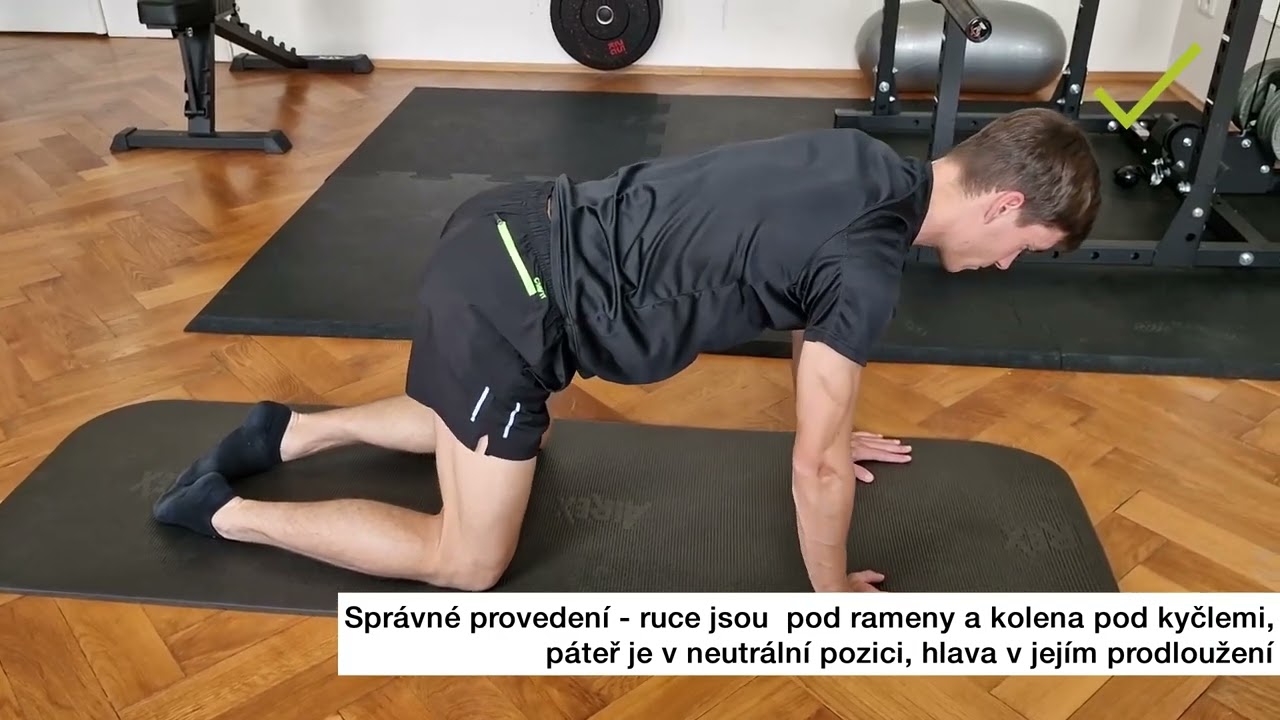 Nejlepší rehabilitační cviky na dolní záda. Tipy jak správně cvičit!