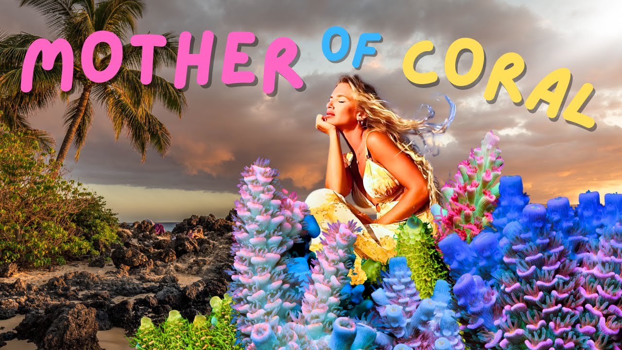 The Secrets Behind The Worlds Best Acropora Saltwater Aquarium | Maras Reef