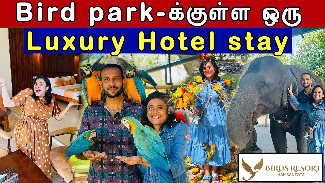 இந்த விலையில் இப்படி ஒரு LuxuryHotel Stay எங்கேயும் கிடைக்காது 🤩🔥Hambantota Birds Resort💚| CrazyPair
