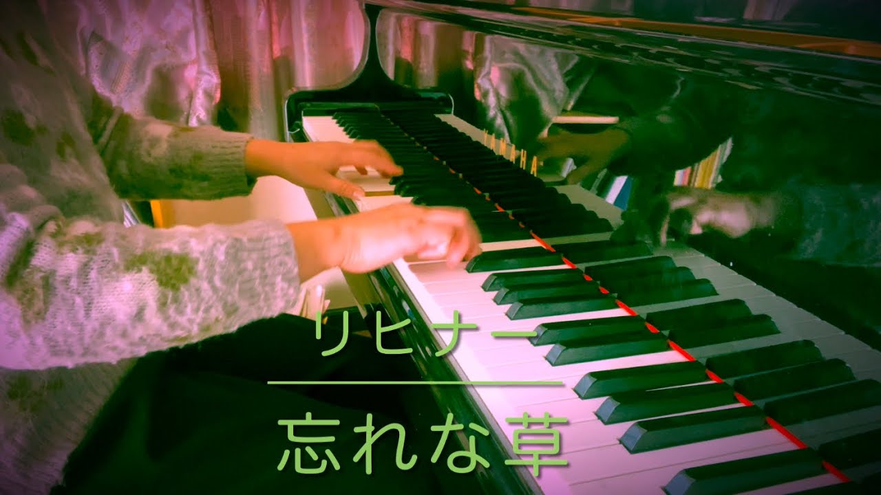 『忘れな草/リヒナー:Forget Me Not/Lichner』