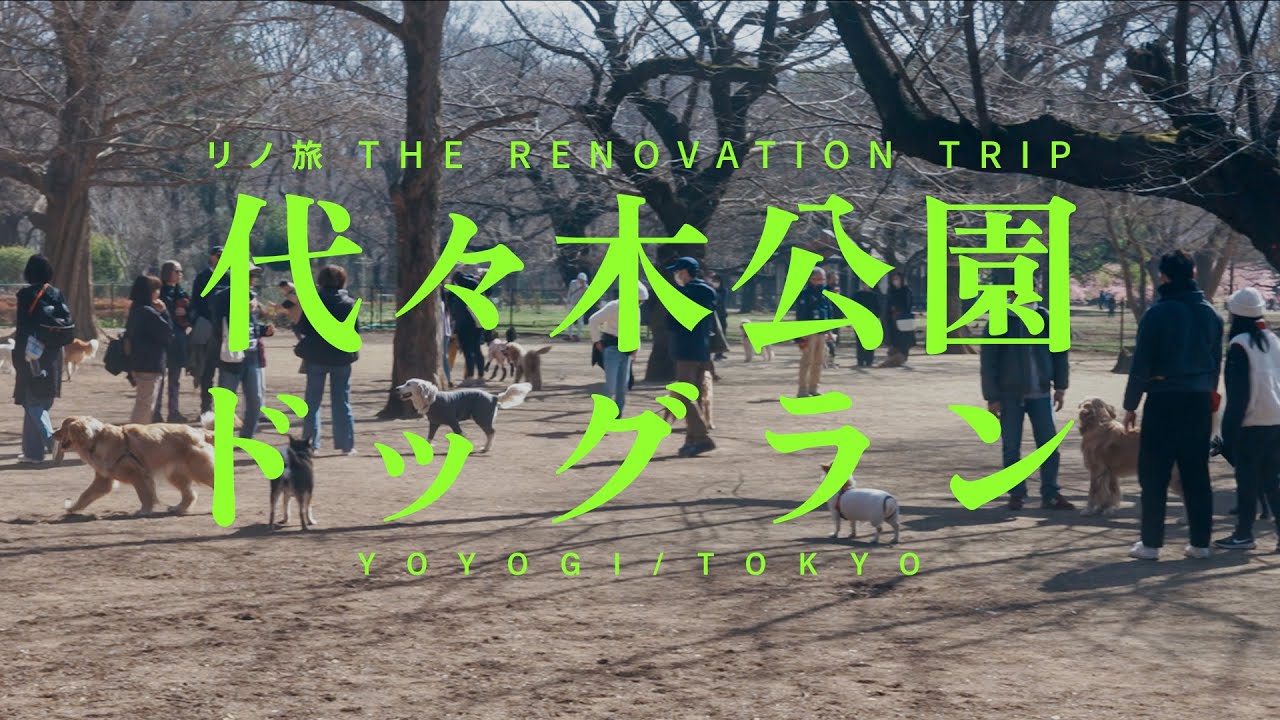 代々木公園ドッグラン 都内最大級、都民と犬たちの公共空間はどうやって生まれたか【リノ旅 THE RENOVATION TRIP】