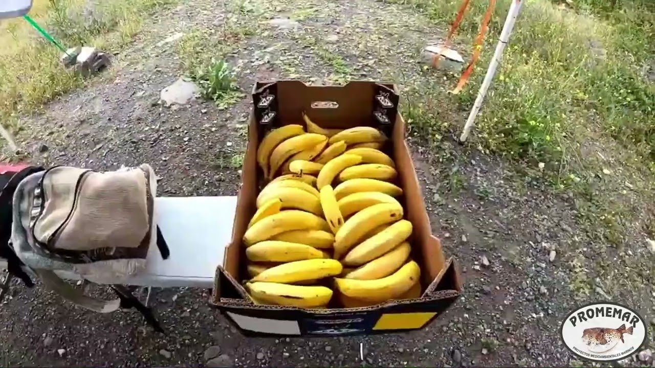 8 AÑOS 