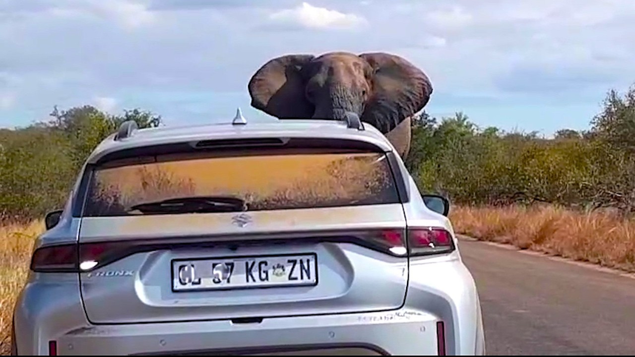 South Africa Today on 14 June 2025