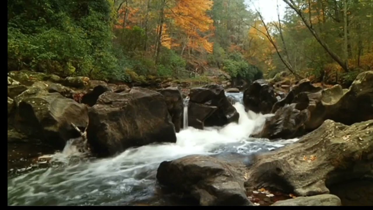Sleepy Creek