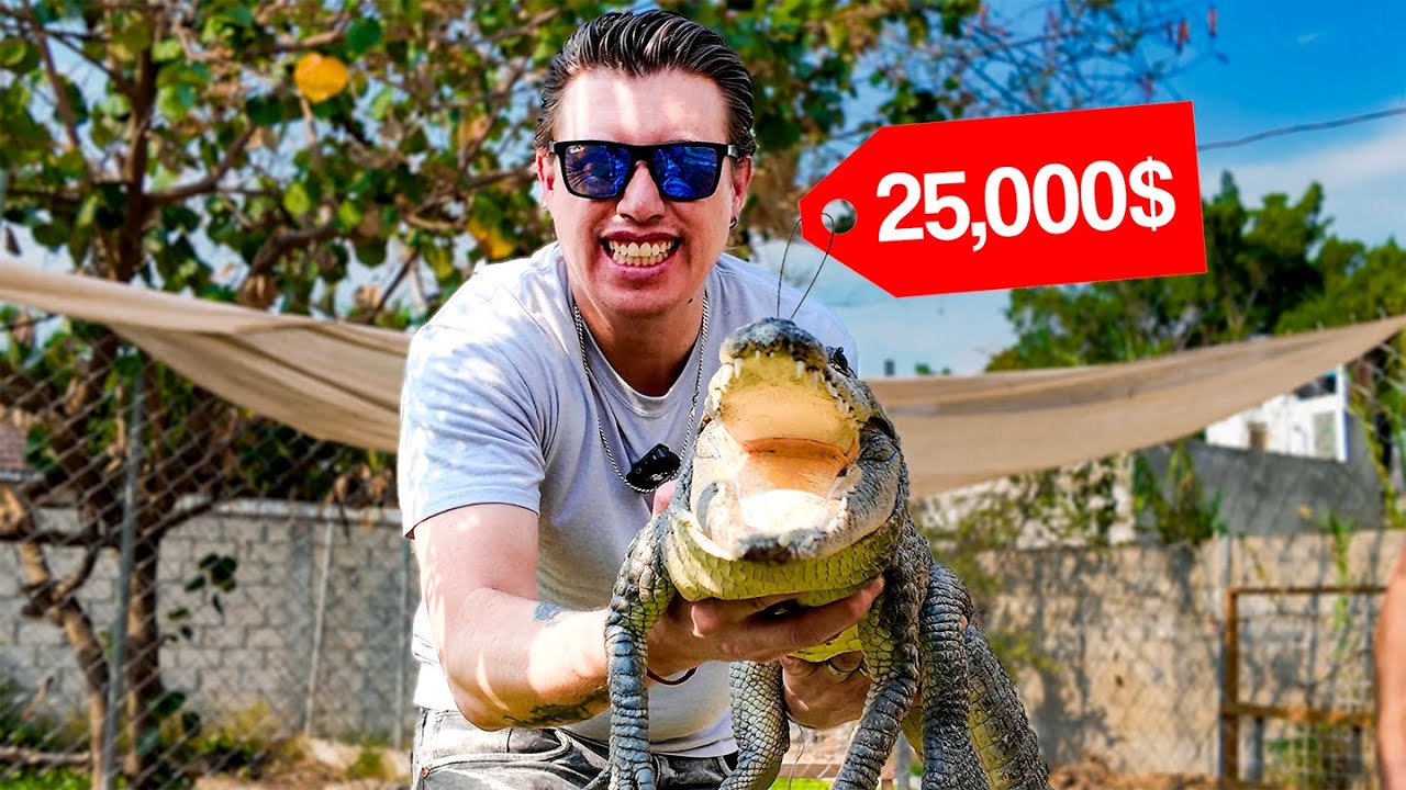 🤑Cargue el cocodrilo más caro en la casa de los cocodrilos 😱