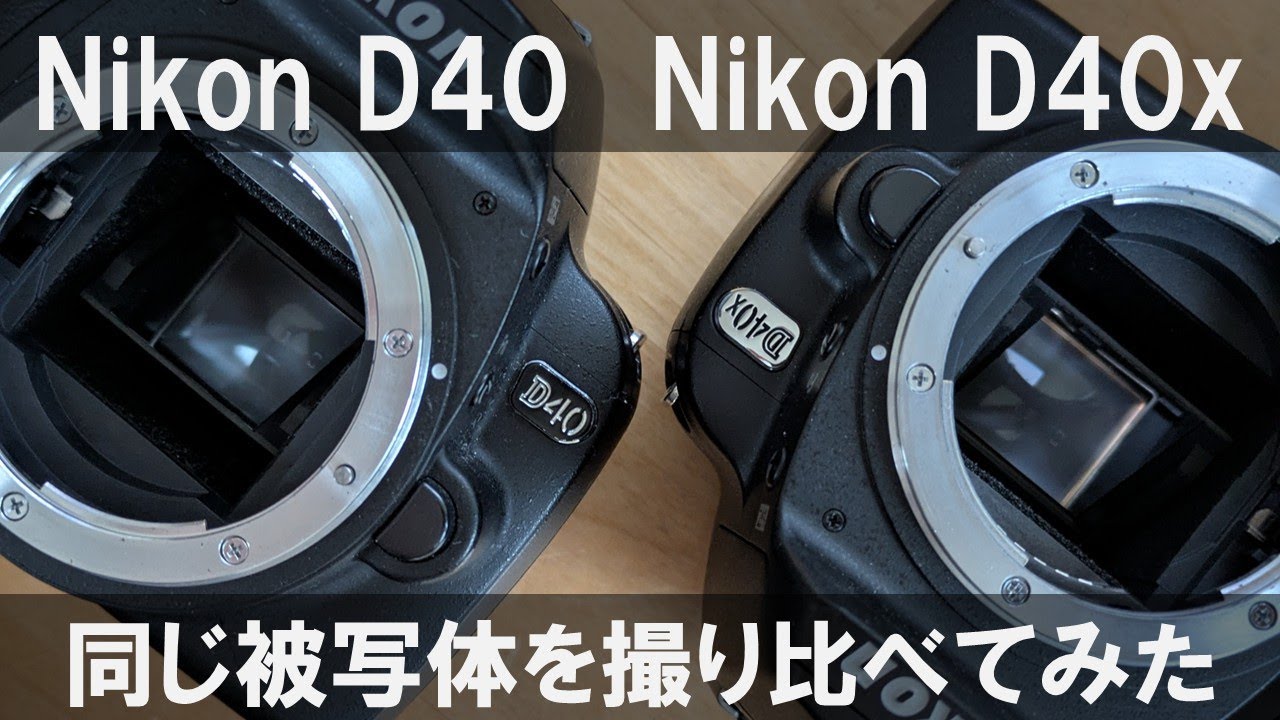 Nikon D40，Nikon D40x｜同じ被写体を撮り比べてみた
